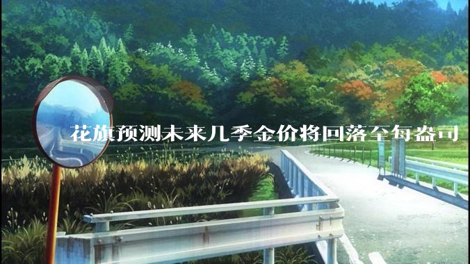 花旗预测未来几季金价将回落至每盎司 3000 美元以下，这其中有哪些相关依据？