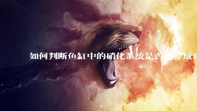 如何判断鱼缸中的硝化系统是否已经成功建立？