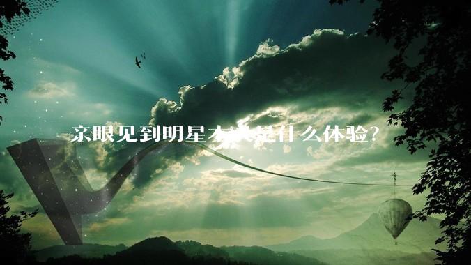 亲眼见到明星本人是什么体验？