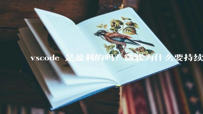 vscode 是盈利的吗？微软为什么要持续投入开发***？